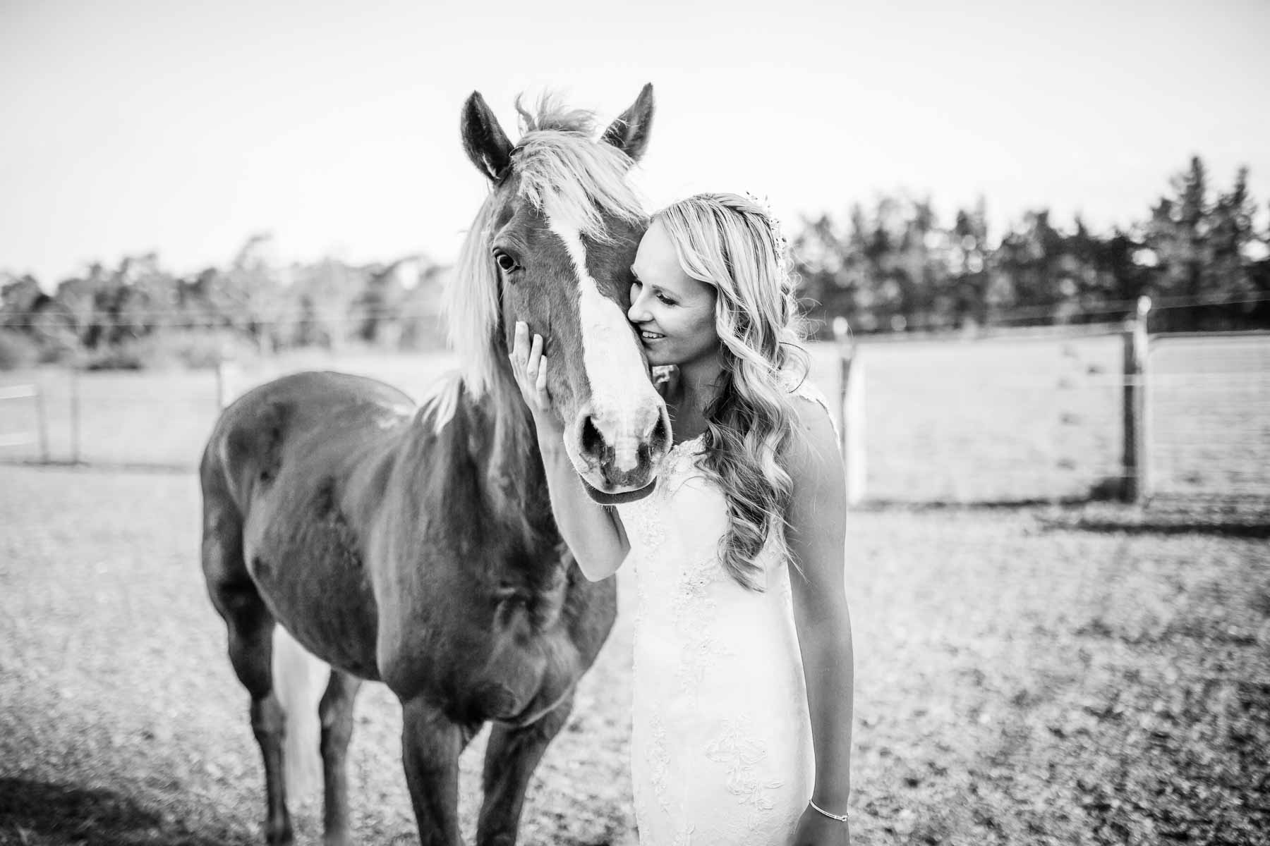 Macarthur Wedding - a bride hugs her horse after the ceremony