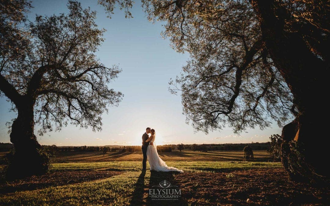 Burnham Grove Wedding - newlyweds kiss standing between the pepper trees