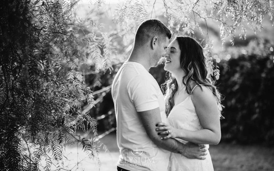 An engage couple hug standing under a tree at sunset