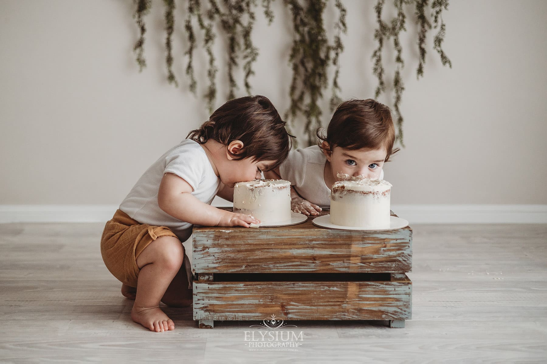 Twin baby boys eat their cakes during their milestone photo session in a natural light studio