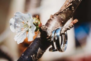 Sydney Wedding Photographer - bride and groom's rings details