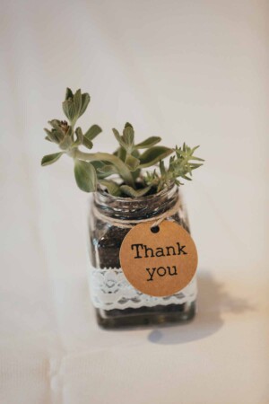 A small plant wedding favour at the reception