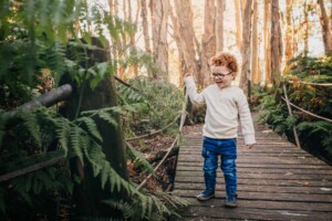 A little boy explores the ferns on a rainforest boardwalk