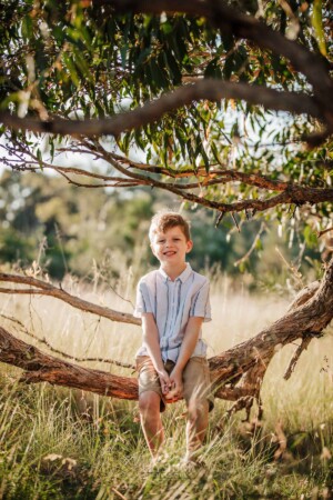 A little boy sits in a curved tree branch as the sun sets behind him
