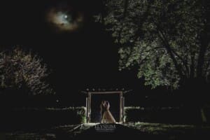 Gledswood wedding - night time shot of newlyweds under the full moon