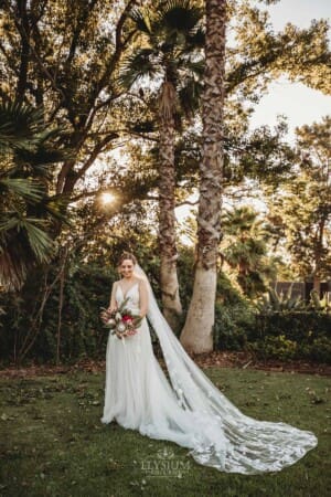 Burnham Grove Wedding - bride stands in the Palm Grove