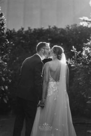 Burnham Grove Wedding - newlyweds hold hands as they walk through the orchard