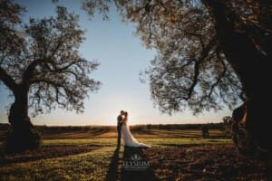 Burnham Grove Wedding - newlyweds kiss standing between the pepper trees