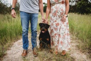 Maternity Photographer - a couple stand with their fur baby between them