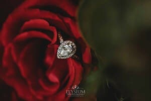 Gledswood Wedding - brides engagement ring sitting in a large red rose