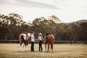 An engaged couple walk with their horses at sunset