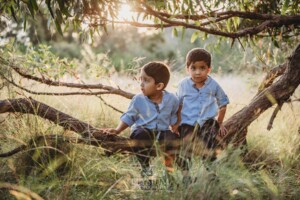 Family Session - brothers sitting on a low tree branch in a grassy field at sunset