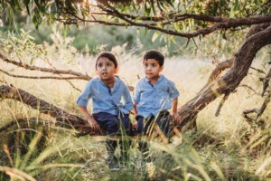 Family Session - brothers sitting on a low tree branch in a grassy field at sunset