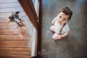 Cake Smash Photographer: a baby boy sits near a window covered in icing