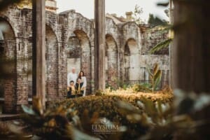 Sydney Family Photographer: parents cuddle their sons in Paddington Reservoir Gardens