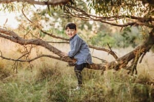 Family Photography: a boy sits in a tree at sunset