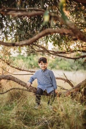 Family Photography: a boy sits in a tree at sunset
