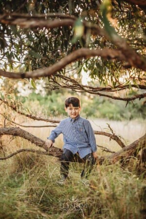 Family Photography: a boy sits in a tree at sunset