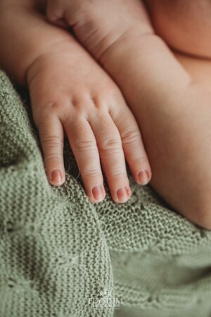 Newborn Photography: details of a baby boys tiny fingers