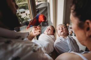 Newborn twins held by their parents and their pet parrot together