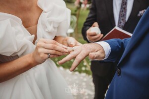A couple exchange rings during their wedding ceremony at Burnham Grove