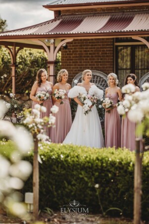 Bridal party stand in front of the Burnham Grove homestead