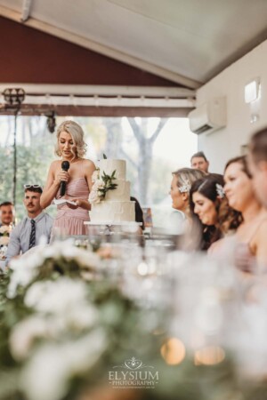 A bridesmaid makes her wedding speech during the reception