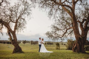 A couple stand beneath the Burnham Grove peppertrees after their wedding ceremony
