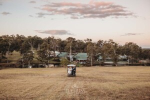 Newlyweds ride up the hill at Ottimo House in a buggy for photos