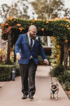 A groom walks with his pug dog down a path towards the wedding