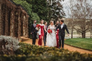 The bridal party walk up the dirt driveway at Bendooley Estate after a wedding