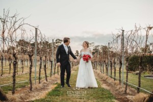 A bride and groom walk holding hands through the vineyards at Bendooley Estate