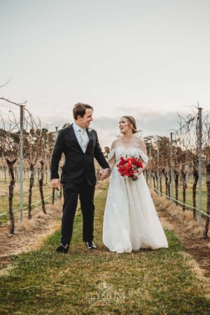 A bride and groom walk holding hands through the vineyards at Bendooley Estate