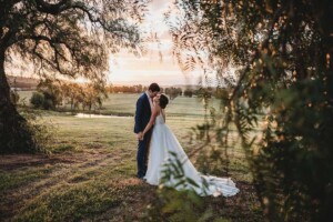 A couple kiss beneath the pepper trees at Burnham Grove while the sun sets after their wedding day