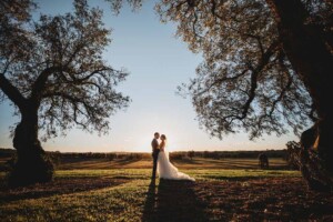A bride and groom stand hugging beneath the pepper trees at Burnham Grove with the golden sunset behind them