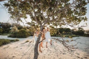 Three girls sit in the branches of a tree on a beach at sunset