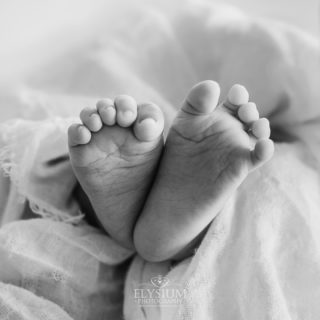 Thoroughly obsessed with tiny baby feet 😍 👣

#elysium #elysiumphotography #aipp #sydneynewbornphotographer #sydneyphotographer #newbornphotographer #newbornphotographersydney #lifestyle #macarthurphotographer #camdenphotographer #childrensphotographer #sydneymums #newmum #newdad #instababy #printwhatyouwanttopreserve #leaveyourlegacy #family #inhomesession #existinphotos #newbornphoto #cutebaby #babyphotography #tinyfeet #newborn #blackandwhite #teenietiny #blackandwhitephotography