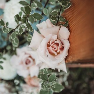 Love is like a rose. When pressed between two lifetimes, it will last forever 💛 

#elysium #elysiumphotography #weddingphotography #weddingphotographer #sydneyweddingphotographer #bouquet #bridalbouquets #juststunning #bridal #weddinginspiration #flowers #floraldesign #floristry #photography #photooftheday #capturethemoment #photodaily #floralinspiration #bridesofinstagram #flowersofinstagram #weddinginspiration #bridesofinstagram #photooftheday #sydneyweddings #weddingdetails #bridalbouquet #rose #roses