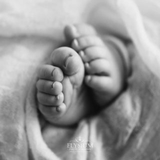 Who knew that such tiny feet could leave the biggest imprints on your heart 👣 ❤️

•
#elysium #elysiumphotography #aipp #sydneynewbornphotographer #sydneyphotographer #newbornphotographer #newbornphotographersydney #instababy #tinyfeet #babyfeet #printwhatyouwanttopreserve #leaveyourlegacy #existinphotos #blackandwhite #teenietiny #blackandwhitephotography #newbornphotography #newborndetails #newbornbaby #newbornphoto #themagicofchildhood #firstmoments #tinyfeatures #capturethemoment #documentyourdays #tinyandnew